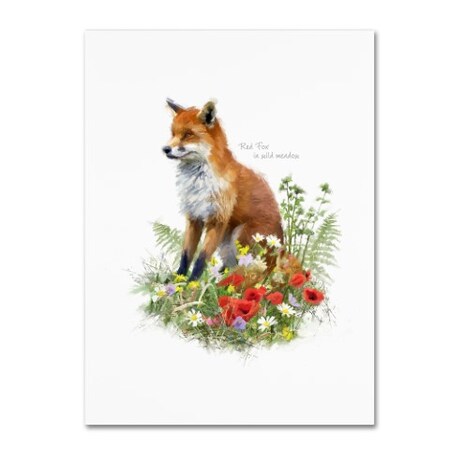 Trademark Fine Art The Macneil Studio 'Fox' Canvas Art, 35x47 ALI09744-C3547GG